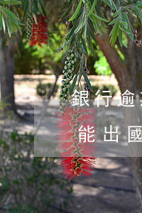 銀行逾期能出國上學(xué)嗎(銀行逾期能出國上學(xué)嗎)