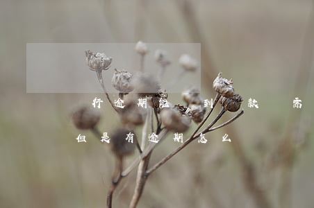 銀行逾期能辦到貸款嗎(需要在銀行申請貸款但是有逾期怎么辦)