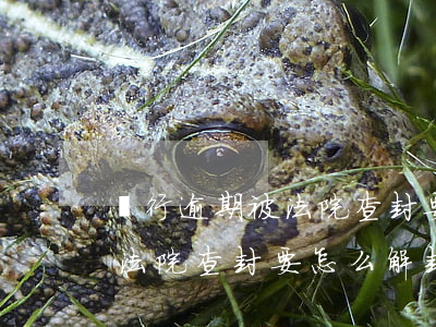 銀行逾期被法院查封要怎么解封(銀行逾期被法院查封要怎么解封)