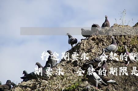銀行逾期要求還全款的期限是多久-銀行逾期要求還全款的期限是多久呢