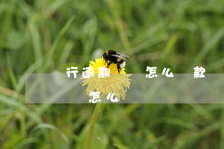 銀行逾期記錄怎么貸款(銀行貸款有逾期不良記錄怎么辦)