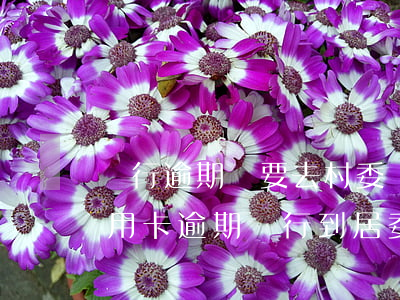 銀行逾期說要去村委會調(diào)查（信用卡逾期銀行到居委會調(diào)查）