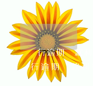 銀行逾期貸款利率新規(guī)定(人民銀行逾期貸款利率規(guī)定)