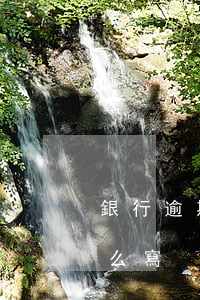 銀行逾期貸款情況說明(銀行逾期情況說明怎么寫)