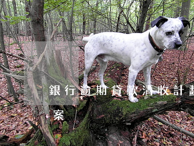 銀行逾期貸款清收計劃(銀行不良貸款清收方案)