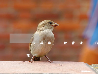 銀行逾期貸款管理暫行辦法（銀行逾期貸款管理）