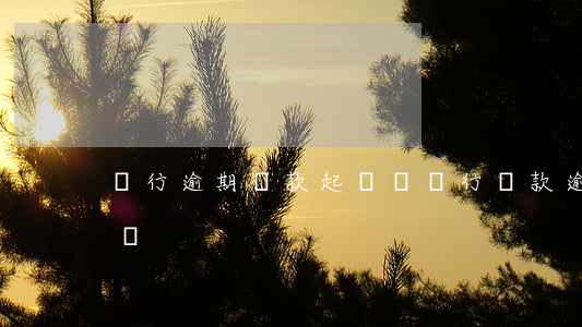 銀行逾期貸款起訴狀(銀行貸款逾期了會起訴嗎)