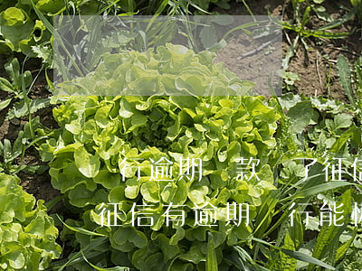 銀行逾期貸款還了 征信可以恢復(fù)嗎（征信有逾期銀行能恢復(fù)嗎）