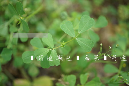 銀行逾期起訴后果 銀行逾期的后果