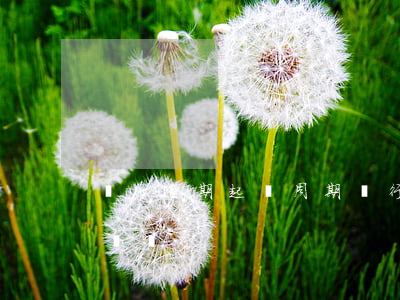 銀行逾期起訴周期(銀行不提醒造成的逾期起訴銀行)