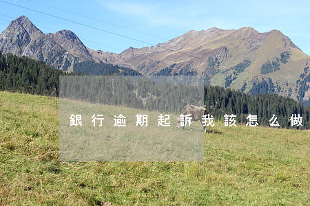 銀行逾期起訴我該怎么做(銀行逾期怎么申訴)