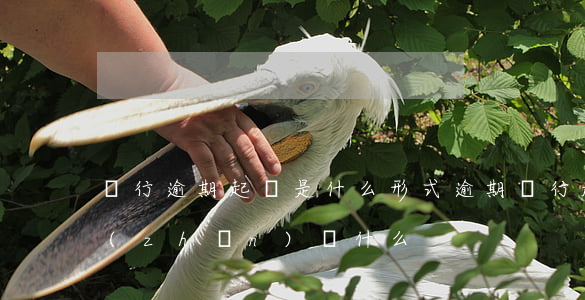 銀行逾期起訴是什么形式（逾期銀行起訴要準(zhǔn)備什么）