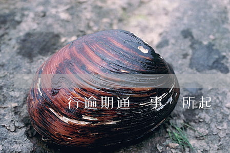 銀行逾期通過事務所起訴(銀行逾期訴訟)