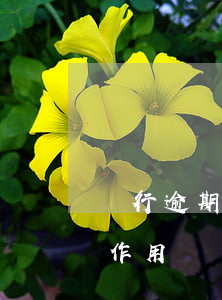 銀行逾期還款催收的函(金融貸款逾期催收函作用)