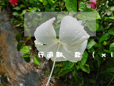 銀行逾期還款協(xié)商辦法