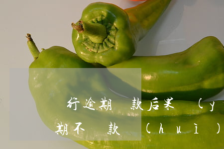 銀行逾期還款后果嚴(yán)重嗎(銀行逾期不還款會(huì)怎樣)