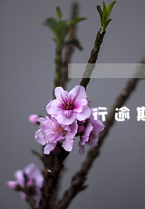 銀行逾期還款多欠給拉黑