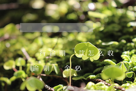 銀行逾期還款怎么收費(fèi)(銀行貸款逾期罰金必須還嗎)