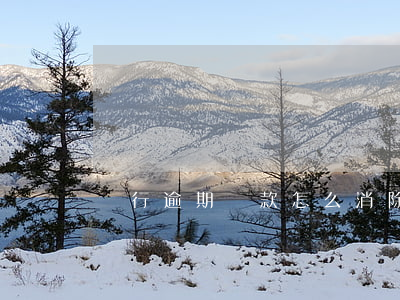 銀行逾期還款怎么消除(貸款逾期怎么消除)