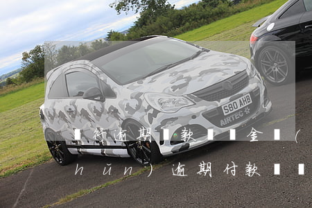 銀行逾期還款滯納金標(biāo)準(zhǔn)(逾期付款滯納金標(biāo)準(zhǔn))