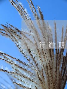 銀行逾期還貸 銀行逾期還貸利率