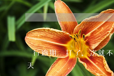 銀行逾期電打了幾次就不打了(銀行逾期一兩天)