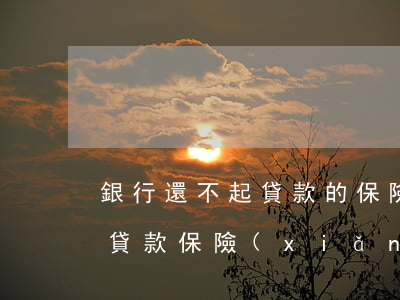 銀行還不起貸款的保險(xiǎn)-銀行貸款保險(xiǎn)買了有什么用,還不上