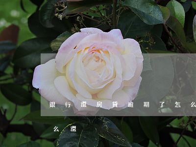 銀行還房貸逾期了怎么辦(銀行貸款逾期了怎么還)