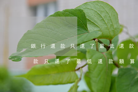 銀行還款只還了最低還款額算逾期-銀行還款只還了最低還款額算逾期嗎