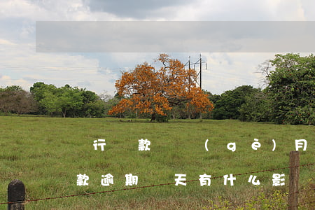 銀行還款幾個(gè)月為逾期(銀行貸款還款逾期幾天有什么影響嗎)