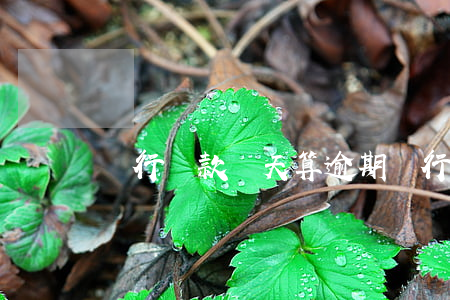 銀行還款幾天算逾期(銀行還款日幾天算逾期)