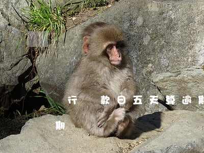 銀行還款日五天算逾期(銀行還款日五天算逾期)
