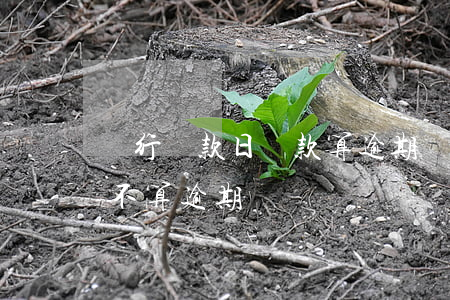 銀行還款日還款算逾期嗎(到期還款日還款算不算逾期)