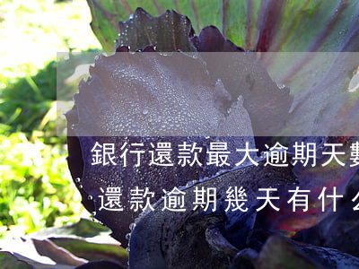 銀行還款最大逾期天數(shù)(銀行貸款還款逾期幾天有什么影響嗎)