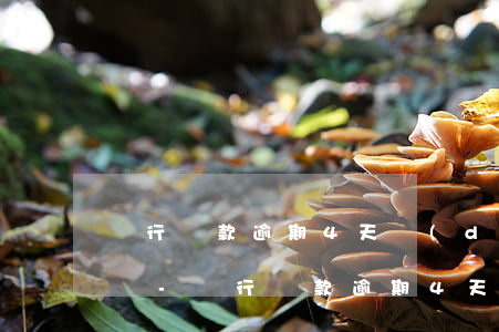 銀行還款逾期4天對(duì)征信有何影響-銀行還款逾期4天對(duì)征信有何影響嗎
