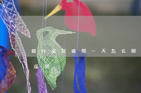 銀行還款逾期一天怎么辦(貸款逾期一天如何還款)