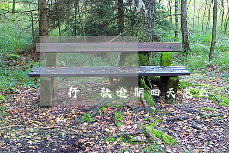 銀行還款逾期四天怎么辦(銀行卡逾期4天怎么辦)