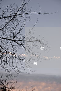 銀行還款逾期寬限期(銀行還貸超過多久算逾期)