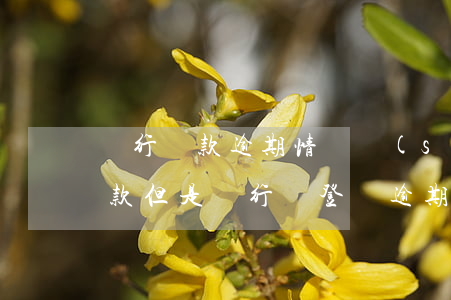 銀行還款逾期情況說(shuō)明(正常還款但是銀行給登記逾期了)