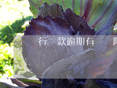 銀行還款逾期：有無寬限期？
