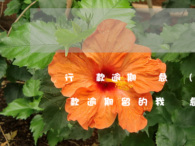 銀行還款逾期緊急聯(lián)系人(朋友貸款逾期留的我緊急聯(lián)系人)