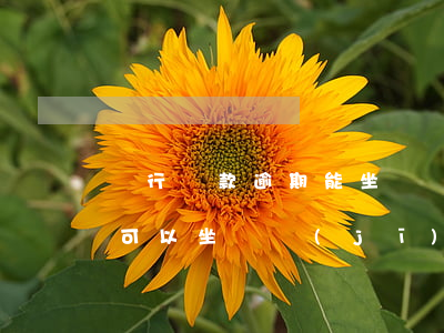 銀行還款逾期能坐飛機(jī)嗎(貸款逾期可以坐飛機(jī)嗎)