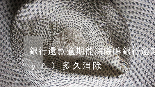 銀行還款逾期能消除嘛(銀行逾期還款信譽(yù)多久消除)