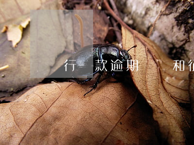 銀行還款逾期記錄和征信