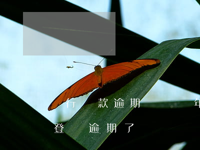 銀行還款逾期記錄幾年(正常還款但是銀行給登記逾期了)