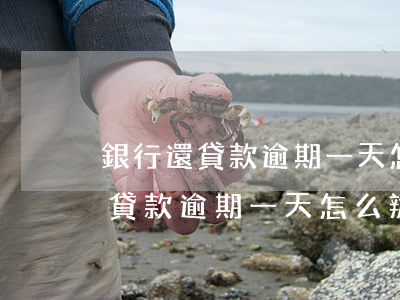 銀行還貸款逾期一天怎么辦信用卡-銀行還貸款逾期一天怎么辦信用卡呢