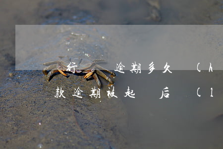 銀行還貸逾期多久會(huì)起訴(銀行貸款逾期被起訴后來(lái)還清還可以貸款嗎)
