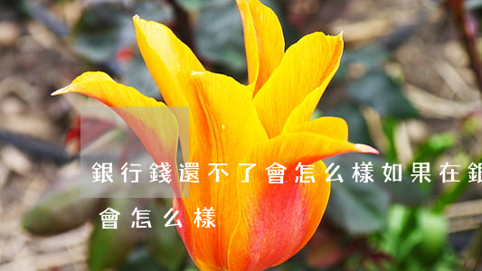 銀行錢還不了會怎么樣(如果在銀行欠錢不還會怎么樣)