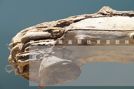 銀行開展逾期扶貧貸款(扶貧戶貸款逾期會怎樣?)