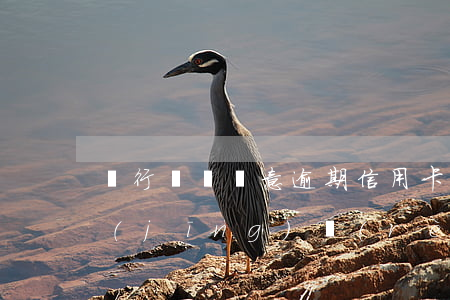 銀行開無惡意逾期信用卡(銀行逾期案件已經(jīng)認(rèn)定為信用卡惡意透支)
